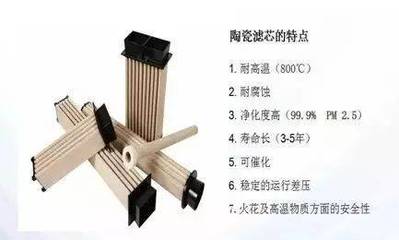 脫硫除塵新技術(shù)引領(lǐng)行業(yè)變革，東獅公司共襄智慧綠色工廠盛會(huì)